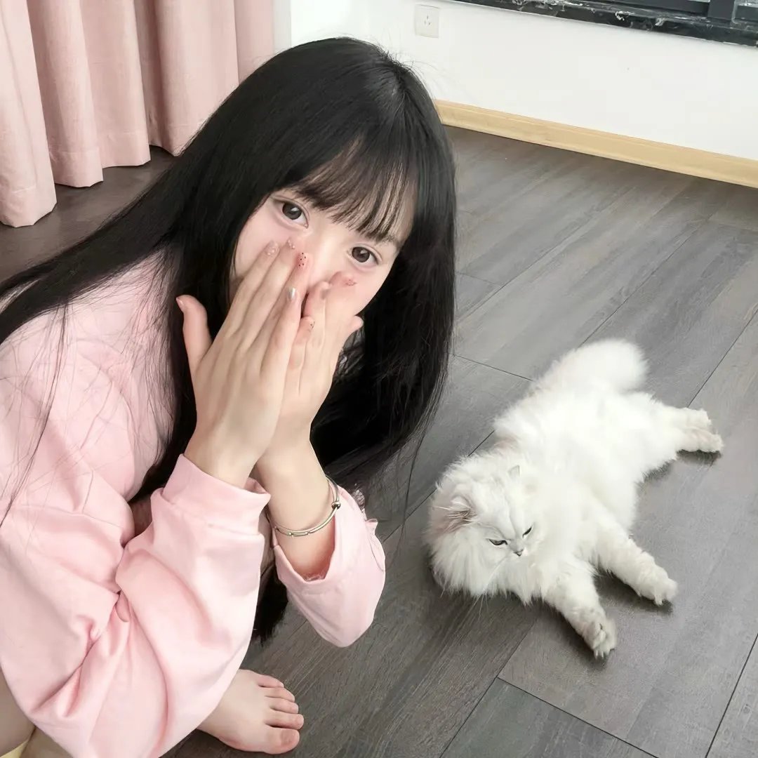 虎豹龙蛇鹰粤语